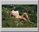 field of lace